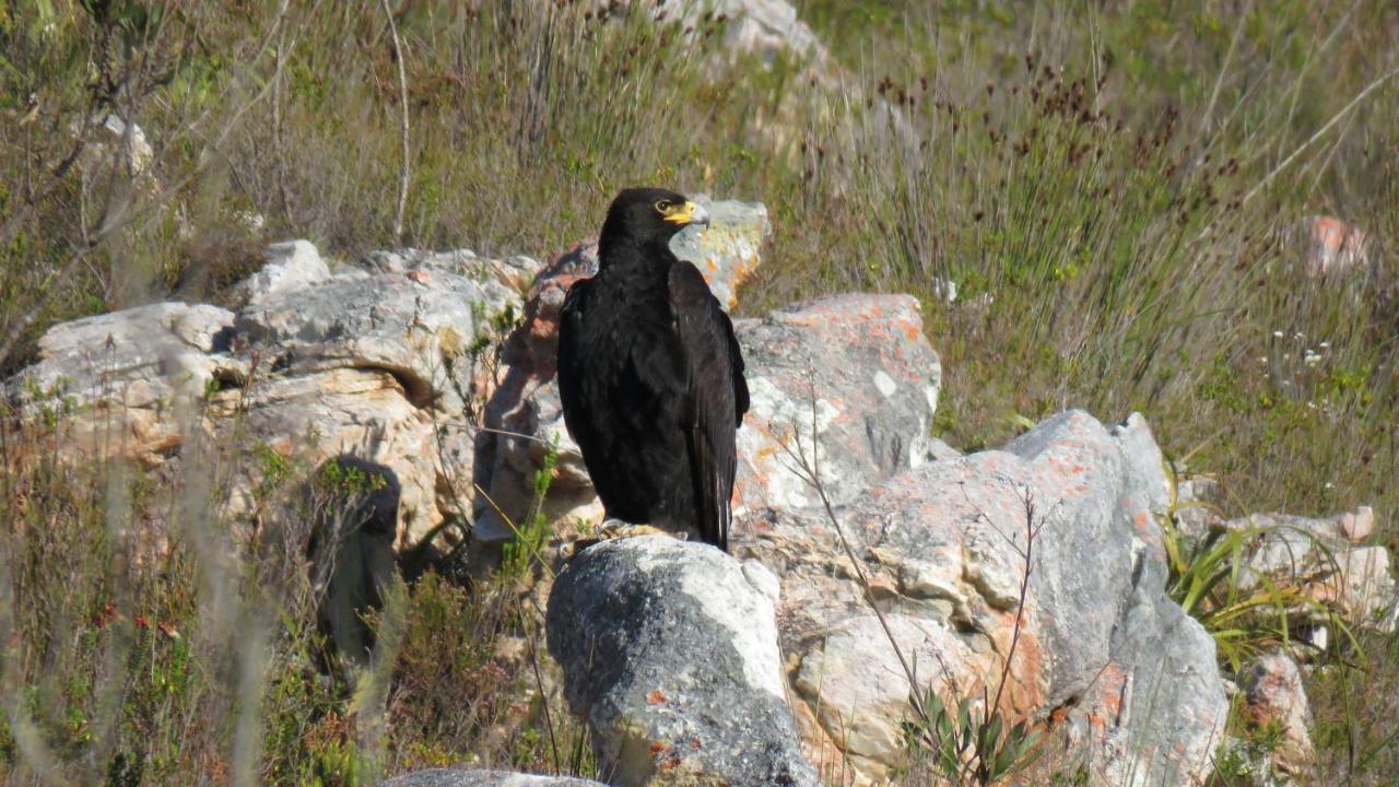 Farm 215 Private Nature Reserve Uilenkraal Buitenkant foto